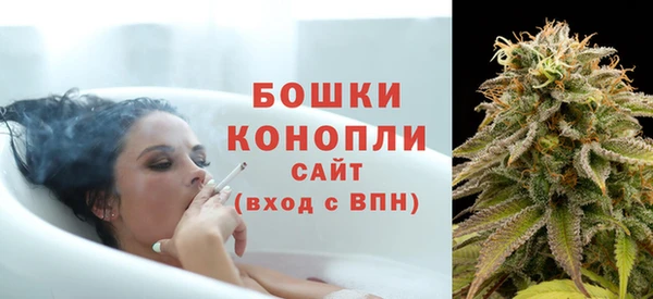 спиды Бородино