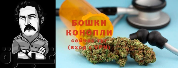 тгк Верея