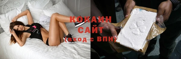 спиды Бородино