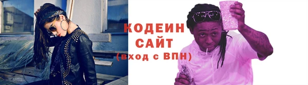 спиды Бородино