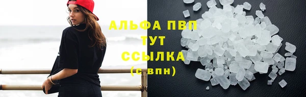 спиды Бородино