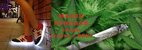 спиды Бородино