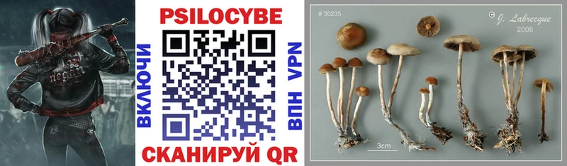 Псилоцибиновые грибы ЛСД  Купить где  Козельск 